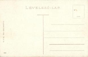 Újvidék, Temerini utca / street, tram