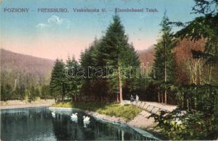 Pozsony, Vaskutacska, Eisenbründl / lake