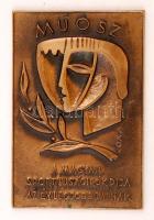 Kiss Kovács Gyula(1922-1984): MUOSZ. Bronz plakett, jelzett, 12x8 cm