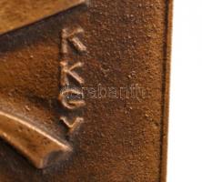 Kiss Kovács Gyula(1922-1984): MUOSZ. Bronz plakett, jelzett, 12x8 cm