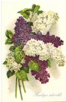 24 db RÉGI motívumlap, vegyes minőség, pár lithoval; üdvözlő, virág / 24 old motive cards, mixed qua...