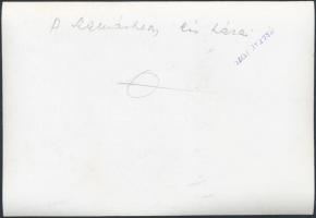 Heltay Fotó: A Szamárhegy kis házai, Esztergom, pecséttel jelzett, feliratozott fotó, 17x11,5 cm