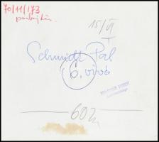 Vívók, 4 db, hátoldalon feliratozva, 13x18, 16x18 és 18x23 cm