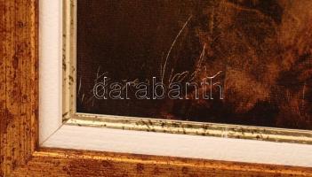 Bazán Vladimír (1956-): Nostradamus. Olaj, farost, jelzett, keretben, 35×25 cm