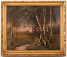 Neogrády jelzéssel: Erdő részlet. Olaj, vászon, festék kopással, keretben, 48×58 cm