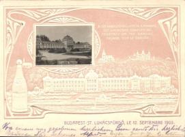 Budapest II. Szent Lukács fürdő, Kristály víz, Emb. (12,5 cm x 9,2 cm) (non PC)