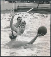 Gyarmati Dezső vízilabdázó, a Nemzet Sportolója, Magyar Hírek Szerkesztősége, hátoldalon feliratozot...