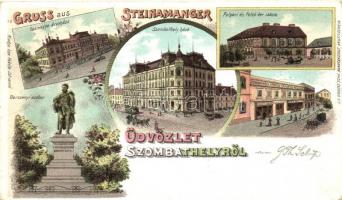 1899 Szombathely, Vasmegye árvaháza, Szombathely háza, Polgári és felső kereskedelmi iskola, Berzsenyi szobor, Városi Takarékpénztár, Fekete István üzlete; kiadja Özv. Fekete Istvánné, floral litho (ragasztónyom / gluemark)