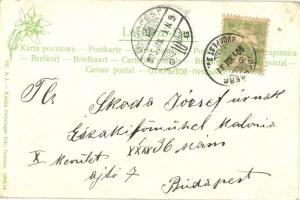 Ruttka, Pályaudvarhoz vezető út, Schlicht szappan; Feitzinger Ede 641. / street to the railway stati...