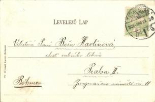 Temesvár, Kossuth Lajos utca, Féhn Alajos kereskedése; kiadja Csendes Jakab papírkereskedő / Kossuth...