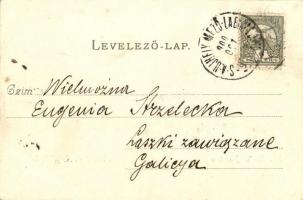 Sátoraljaújhely, MÁV Indóház, vasútállomás, vasúti telep; kiadja Alexander Vilmos