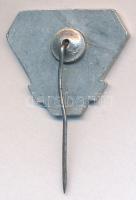 1949. "Petőfi és Kossuth 1949" Al jelvény (17x20mm) T:2