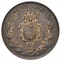 Ausztria 1882. "Osztrák-magyar Ipari és Mezőgazdasági Kiállítás - Trieszt 1882" Br emlékér...