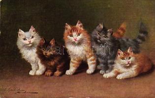 Cats, T.S.N. Serie 1564. (6 Muster) s: S. Sperlich (EB)
