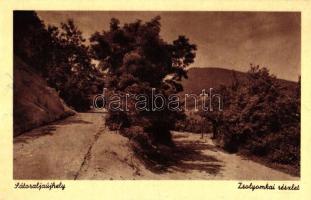 Sátoraljaújhely, Zsolyomka (ázott / wet damage)