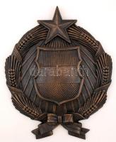 cca 1980 Magyar Népköztársaság címere, festett műgyanta, 50×40 cm