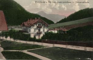Fenyőháza, Sip hegy, Tátra szálloda, Feitzinger Ede No. 655 / mountain, hotel (EK)