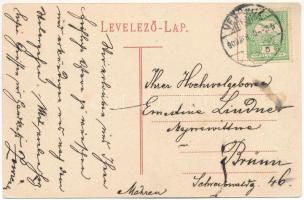 Versec, Vrsac; utca, kiadja Hammerschmidt Károly / street