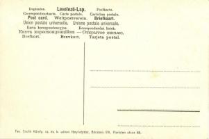 Szovátafürdő, Maria-villa, Lola-villa; Art Nouveau