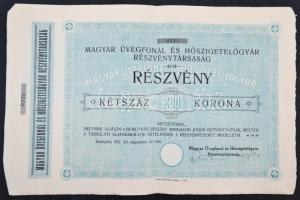 Budapest 1912. "Magyar Üvegfonál és Hőszigetelőgyár Részvénytársaság" részvénye 200K-ról szelvényekkel T:II-