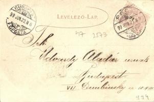 1899 Pécs, Schiller Otthon kávéháza, pénzügyigazgatóság, székesegyház; floral, kiadja Günsberger Laj...