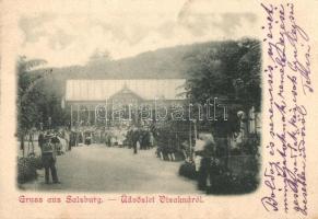 Vízakna, Salzburg; Gyógyfürdő / Spa