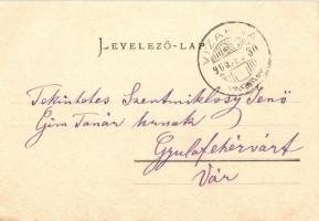 Vízakna, Salzburg; Gyógyfürdő / Spa