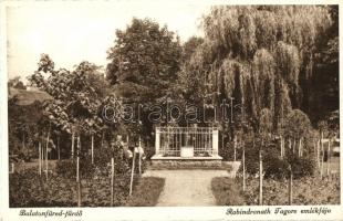 Balatonfüred-gyógyfürdő, Rabindranath Tagore emlékfája