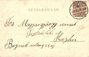 1899 Budapest VIII Kerepesi út, Rókus kórház; Edgar Schmidt