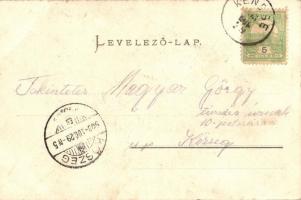 Balatonkenese, Madártávlat; Pósa Endre kiadása