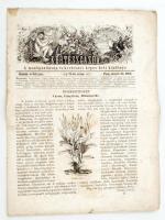 1869 Kertészgazda, a mezőgazdaság és kertészet képes heti közlönye. Szerk.: Girókuti P. Ferenc. 4. évf. 21. sz. Pest, Emich Gusztáv. Érdekes írásokkal, illusztrációkkal