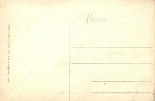 Fót, Ügyvédi tanácsadó iroda, nyári iroda helyiség; Schäffer Ármin udv. fényképész kiadása