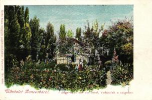 Pancsova, Vadászlak a szigeten; kiadja Kohn Samu / hunting lodge