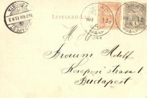 Orsova, Kazán, Ada Kaleh, Bego Mustafa, Art Nouveau floral