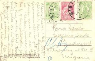 1927 Kiskapus, Copsa Mica; Vasútállomás, Gara / railway station