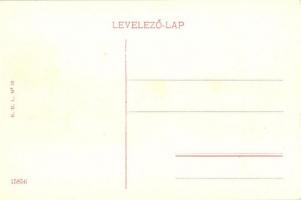 Losonc, Kossuth utca, Lusztig Lázár, Bicskei Zoltán, Molnár János és Hochfelder kereskedései / Kossu...