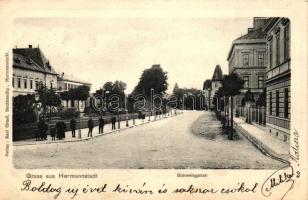Nagyszeben, Hermannstadt; Schewis utca / Schewisgasse / street (EK)