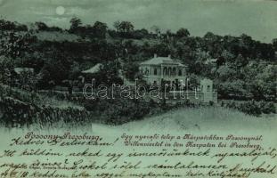 1899 Pozsony, Pressburg, Bratislava; Nyaralótelep a Kárpátokban / villas (EK)