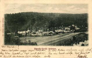 Bártfa-fürdő; Divald Adolf