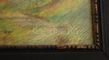Olvashatatlan jelzéssel: Erdő részlet. Színes ceruza, papír, üvegezett antik keretben, 19×12 cm
