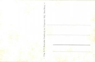 Hague, den Haag; Restaurant zur Krone, café interior (fl)