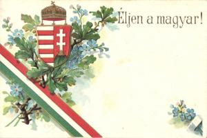Éljen a magyar! / Hungarian flag, coat of arms; patriotic propaganda Emb. litho