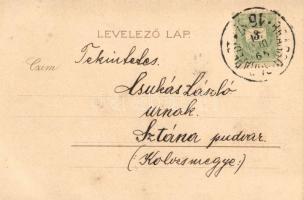 Jégvirágok / unisgned Raphael Kirchner, Kosmos litho