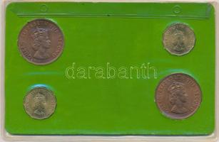 Jersey 1964. 1/12Sh (2x) + 1/4Sh (2x) plasztiktokos szettben T:1
Jersey 1964. 1/12 Shilling (2x) + ...