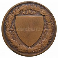 Berán Lajos (1882-1943) DN "Budapesti (Budai) Torna Egylet 1869 - Botond" Br díjérem korab...