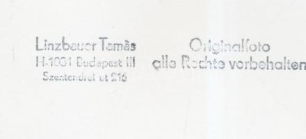 Villamos, Linzbauer Tamás fotója, hátulján pecséttel jelzett, 9×14 cm