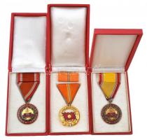~1970. A Haza Fegyveres Szolgálatában (2xklf) 10 és 15 év után, A Haza Szolgálatáért arany fokozat, zománcozott fém kitüntetések, mindhárom mellszalagon, szalagsávval, dísztokban T:1-,2