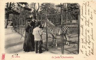 Paris, Le Jardin d'Acclimatation, Le Zébre / Zoo, Zebra