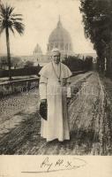 Pope Pius X, X. Piusz pápa
