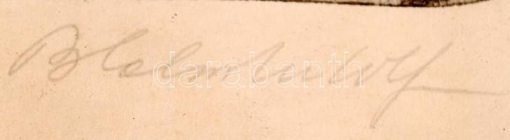 Blahos Rudolf (1917-1986): Sopron. Rézkarc, papír, jelzett, üvegezett keretben, 31×42 cm